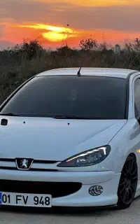 ** تعمیر ساعت ماشین 206**