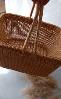 مسافرتی