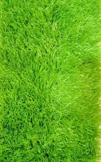 چمن مصنوعی