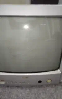 تلویزیون