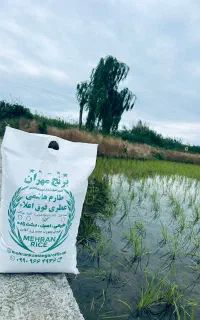 شراکت