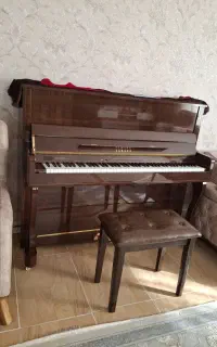 پیانو طرح آکوستیک p225 کلاویکورد درحد استفاده نشده