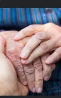 شرکت نظافتی و مراقبتی بهشت سبز