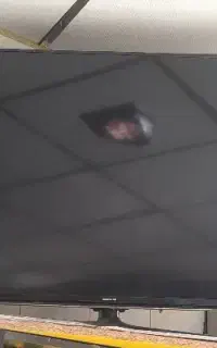 سامسونگ ۴۹ اینچ تلوزیون مهراباد