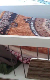 تخت