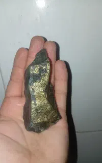چن تیکه سنگ طلا به فروش می رسد