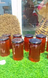 عسل کوهی بکر کاملا طبیعی بشکرد ارسال به کل کشور