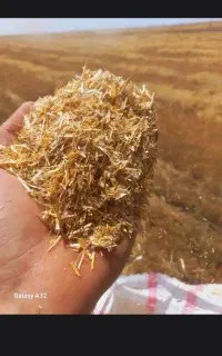 کاه ریز درجه یک