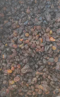 کشمش