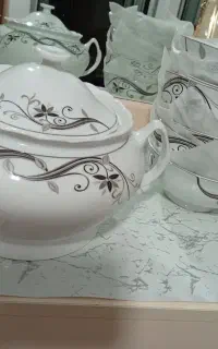 ظرف پزیرایی