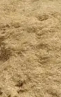 کاه عدس