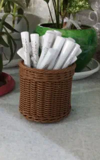 سبد