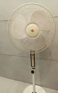 پنکه‌پایه‌بلند‌سالم