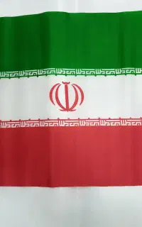 پرچم دستی