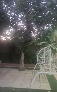 باغبانی و  نظافت