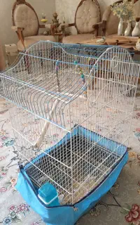 قفس  پرنده