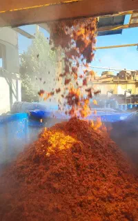 تفاله گوجه جو علوفه ذرت کاه یونجه چغندر میش بره