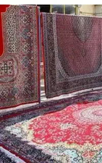 قالیشویی اتوماتیک وهوشمند پاییزان تک