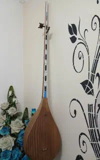 دوتار استادی جنوب خراسان ..تحویل درخواف