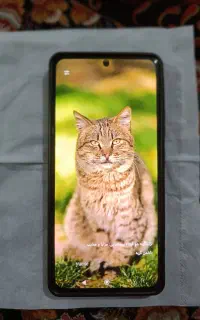 گوشی ردمی نوت 13پرو 512
