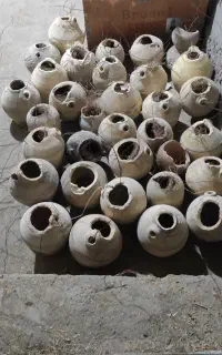 فنچ مرغ عشق لونه کوزه