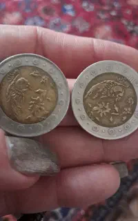 سکه