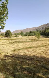 انجام کارهای کشاورزی