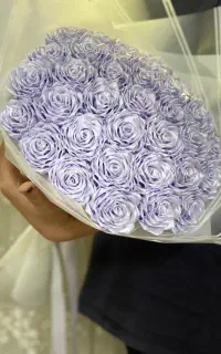 گل رز و پروانه