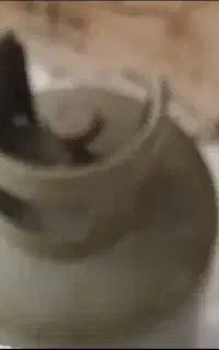 کپسول نیک گاز(پر)