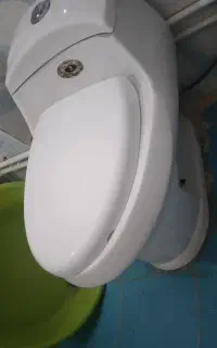 فرنگی