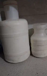 شیر بز محلی