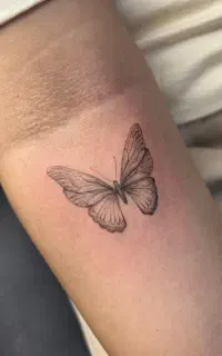 تتو بدن نوشهر