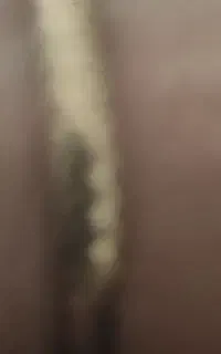 دوتا النگو قیچی شده صد زیر تابلو