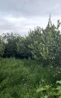 باغ ۶۰۰۰ متری ۵ کیلومتری اهر