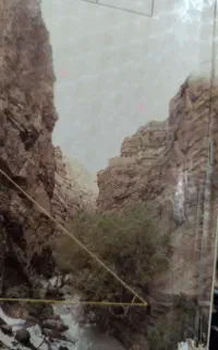 ریاضی