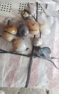 سنگ