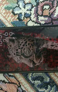 شیائومی نوت 13 پرو 5g