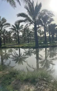 نیازمند کارگر با خانواده