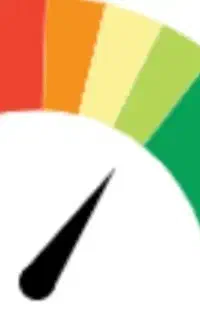 نیازمندی ضامن