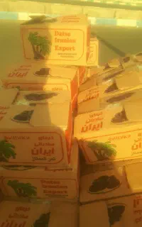 فروش خرمای شاهانی عمده