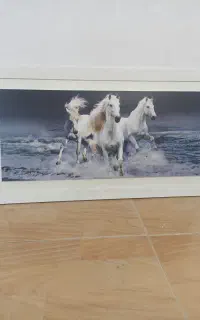 تابلو عکس