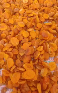 زرد آلو هسته دار و  قیصی