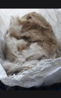 پشم گوسفند