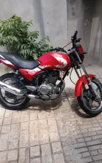 دینو ۹۷