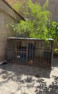 قفس سگ،مرغ،بوقلمون