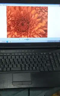 لپتاپ توشیبا