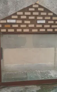 آکواریوم