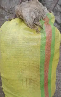 پشم گوسفند مغانی