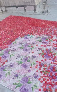خشک کردن گوجه کاملا طببعی در خانه