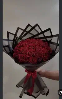 رز روبانی شاخه ۴۰